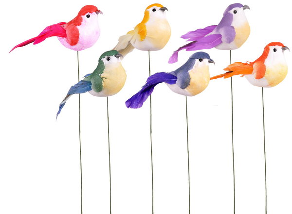 Vögel a/S, 24 Stück, farbig (FB602)